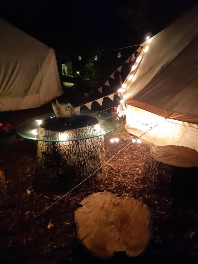 The White Dove Bed And Breakfast With Glamping Newark Showground Zewnętrze zdjęcie